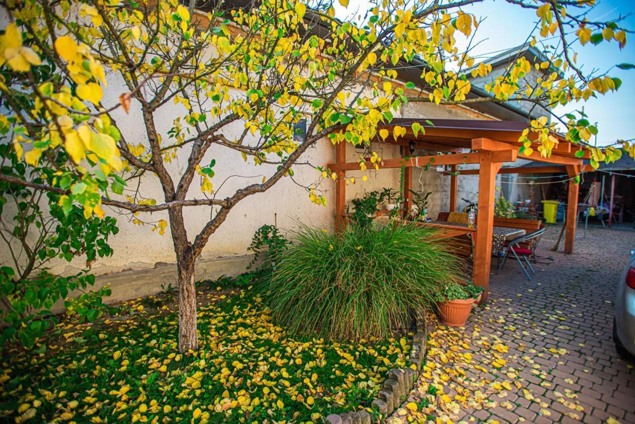 Lizak Apartment Bereg Exterior foto